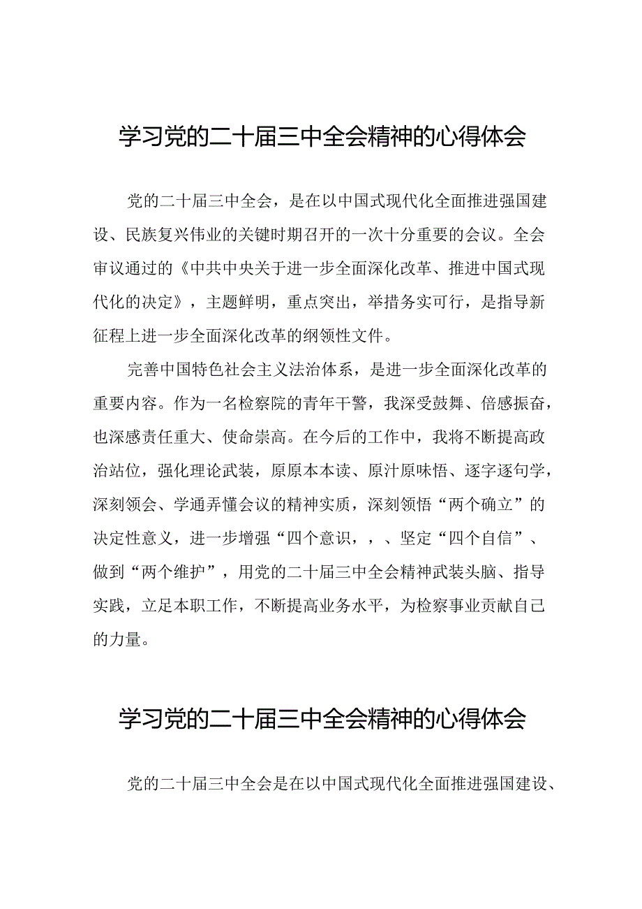 2024年党的二十三中全会精神学习体会交流发言稿最新范文28篇.docx_第1页