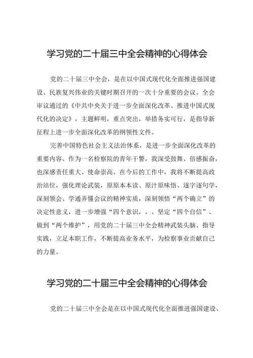 2024年党的二十三中全会精神学习体会交流发言稿最新范文28篇.docx