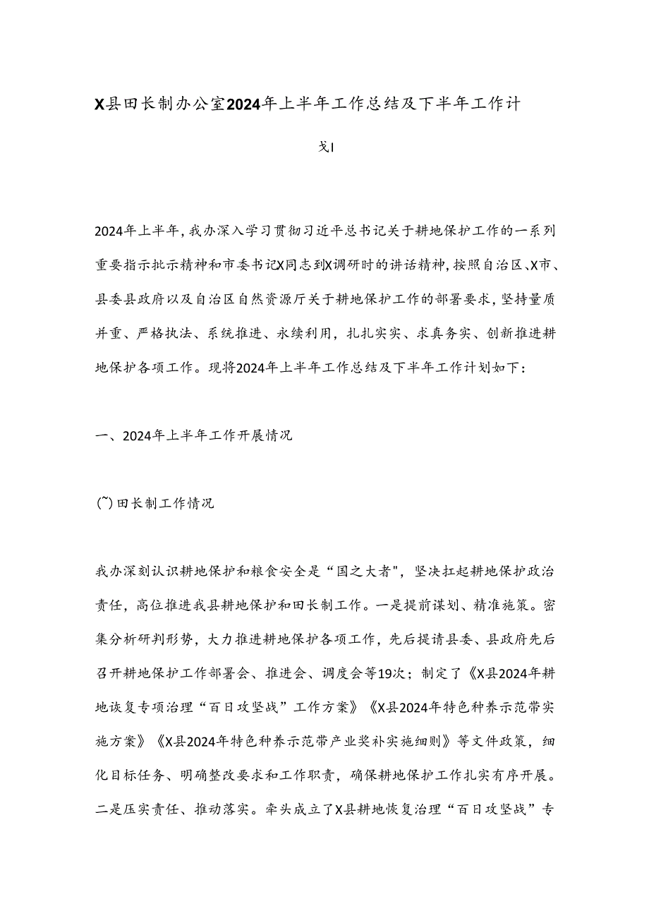 X县田长制办公室2024年上半年工作总结及下半年工作计划.docx_第1页