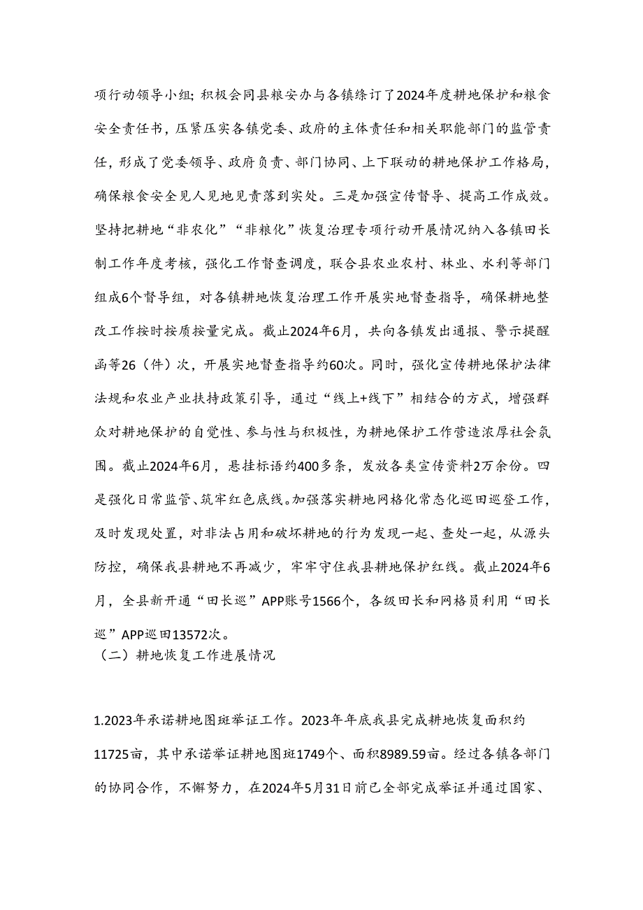 X县田长制办公室2024年上半年工作总结及下半年工作计划.docx_第2页