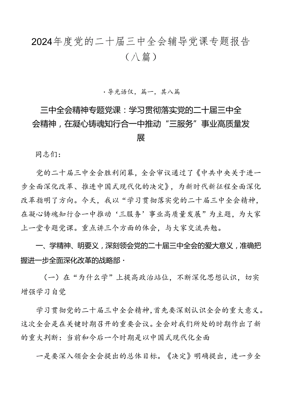 2024党的二十三中全会辅导党课专题报告（八篇）.docx_第1页