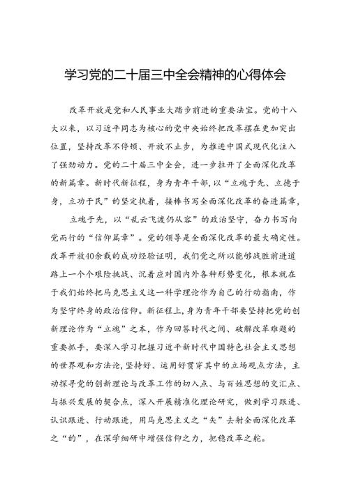 学习贯彻党的二十三中全会精神的心得体会简短交流发言材料最新版33篇.docx