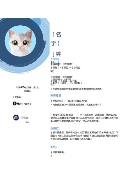 20242025大学生个人简历模板二.docx