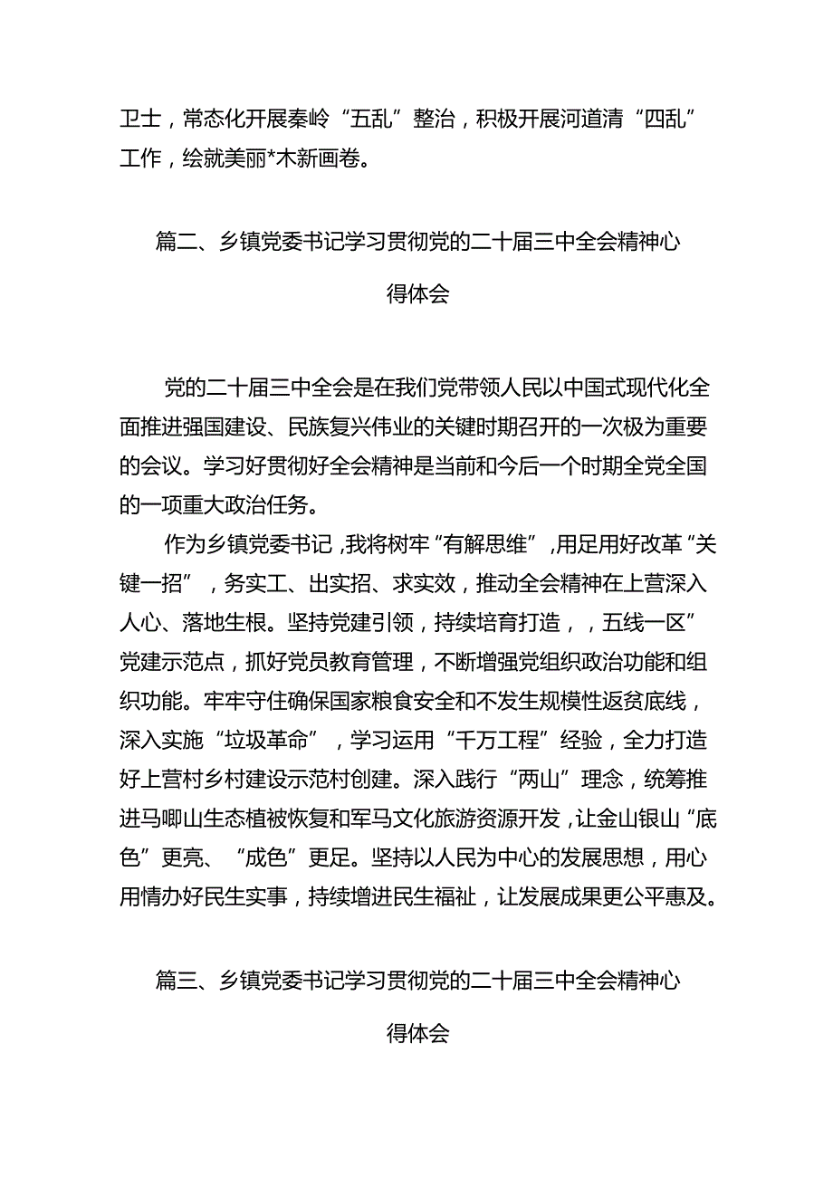 （15篇）镇长学习二十三中全会精神心得体会发言（详细版）.docx_第3页