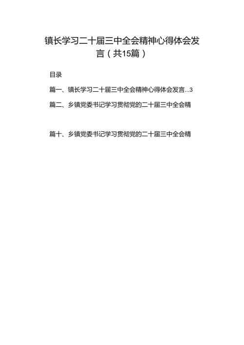（15篇）镇长学习二十三中全会精神心得体会发言（详细版）.docx