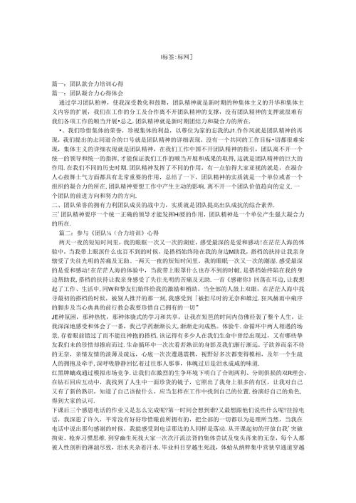 团队凝聚力培训心得体会.docx