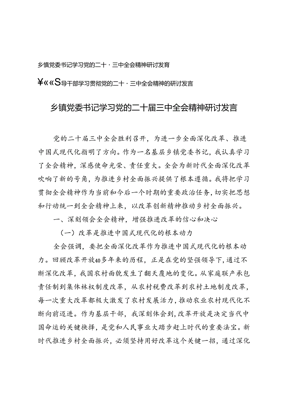 乡镇党委书记、领导干部学习党的二十三中全会精神研讨发言.docx_第1页