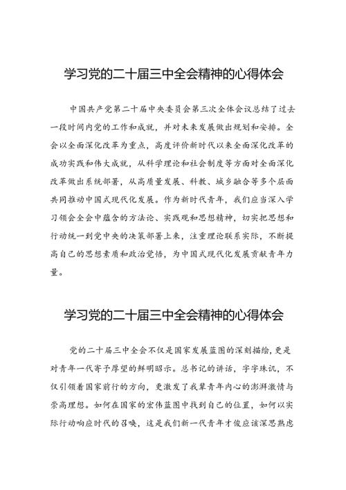 学习党的二十三中全会公报心得体会二十六篇.docx