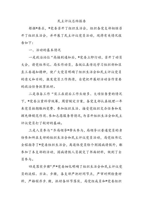 民主评议总结报告.docx
