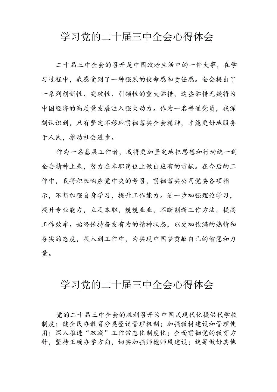 学习2024年学习党的二十三中全会个人心得体会.docx_第2页