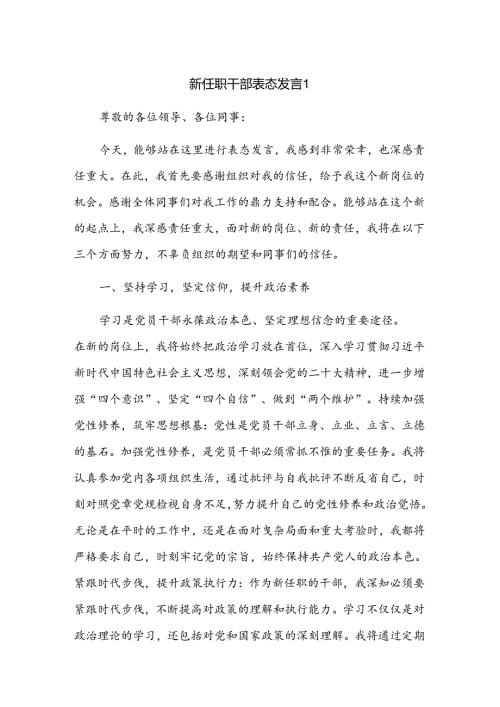新任职干部表态发言2篇.docx