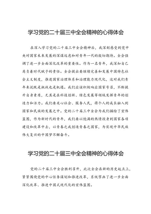 2024年学习党的二十三中全会精神的心得感悟精选42篇.docx