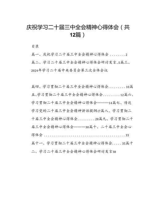 （12篇）庆祝学习二十三中全会精神心得体会范文.docx