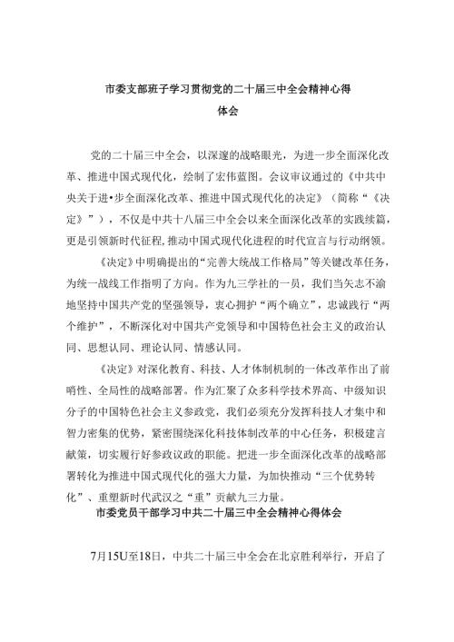 市委支部班子学习贯彻党的二十三中全会精神心得体会8篇（精选）.docx
