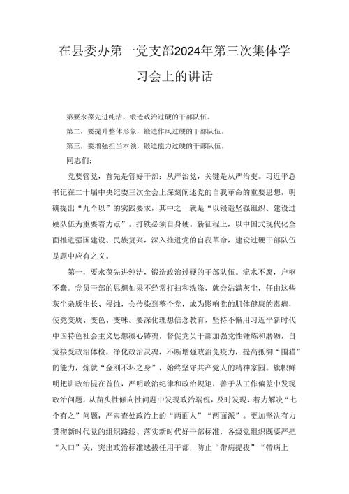 在县委办第一党支部2024年第三次集体学习会上的讲话2篇.docx