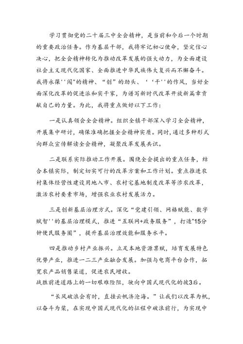 集体学习2024年二十三中全会公报的研讨发言材料及心得七篇.docx