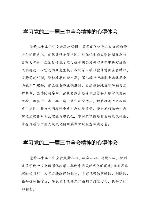 2024年党的二十三中全会精神学习体会简要版28篇.docx