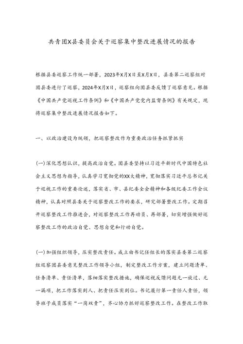 共青团X县委员会关于巡察集中整改进展情况的报告.docx
