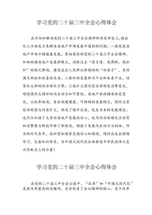 学习2024年党的二十三中全会心得体会 （10份）86.docx