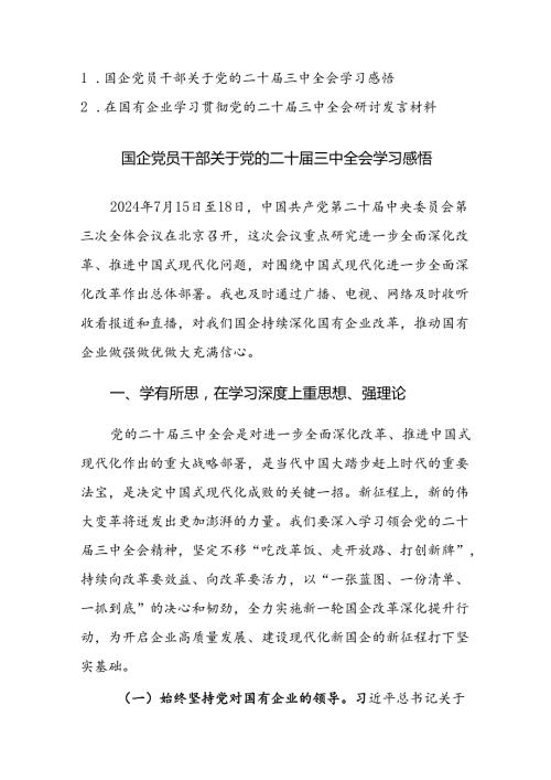 国企党员干部关于党的二十三中全会学习感悟及研讨发言材料范文2篇.docx