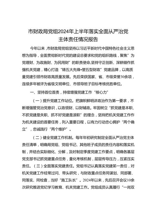 市财政局党组2024年上半年落实全面从严治党主体责任情况报告.docx