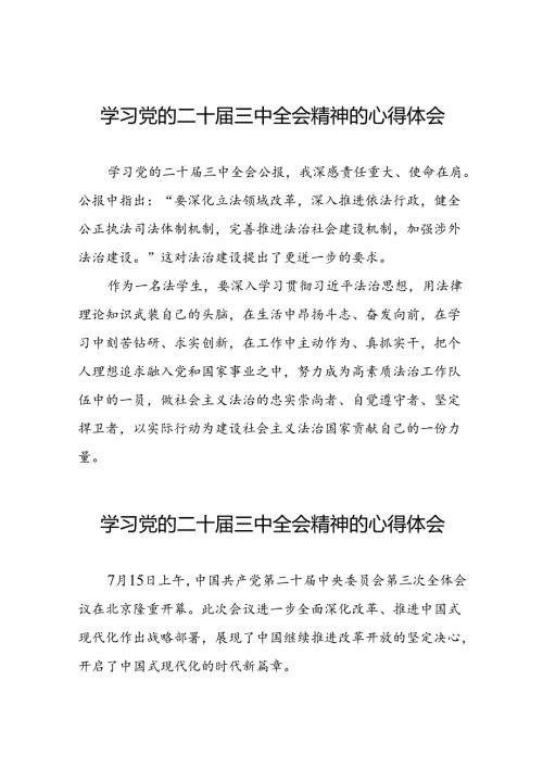 学习二十三中全会精神心得体会发言稿三十篇.docx