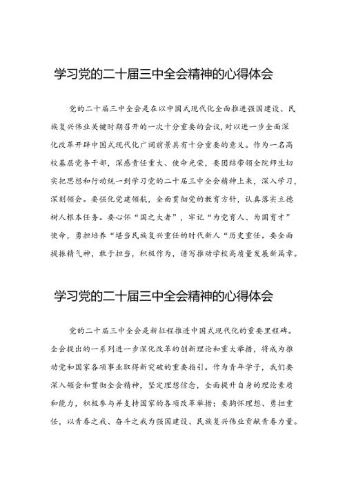 22篇学习党的二十三中全会精神的心得感悟交流发言.docx