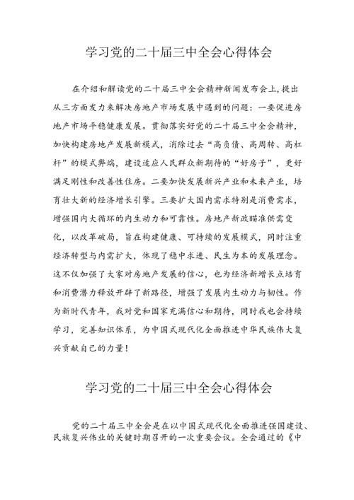 学习2024年党的二十三中全会个人心得体会 （16份）.docx