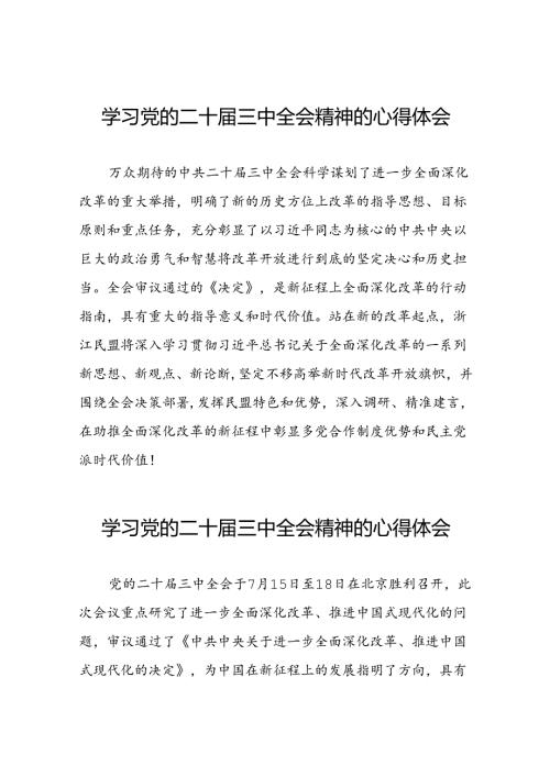 关于二十三中全会精神学习体会模板42篇.docx