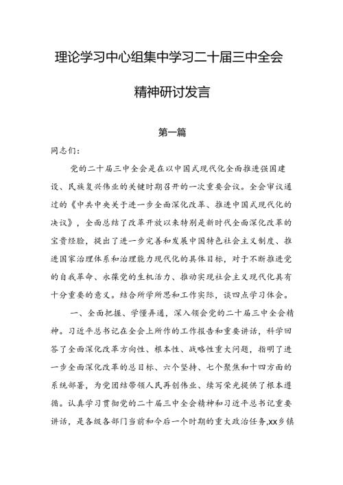 理论学习中心组集中学习二十三中全会精神研讨发言（10篇）.docx