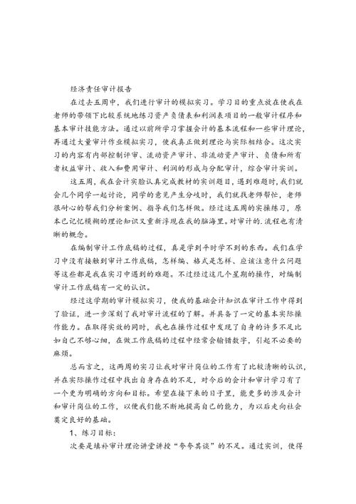 经济责任审计报告.docx
