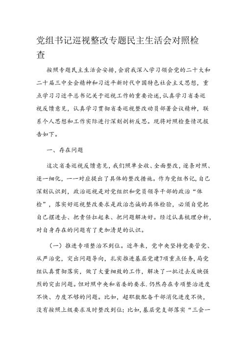 党组书记巡视整改专题民主生活会对照检查.docx