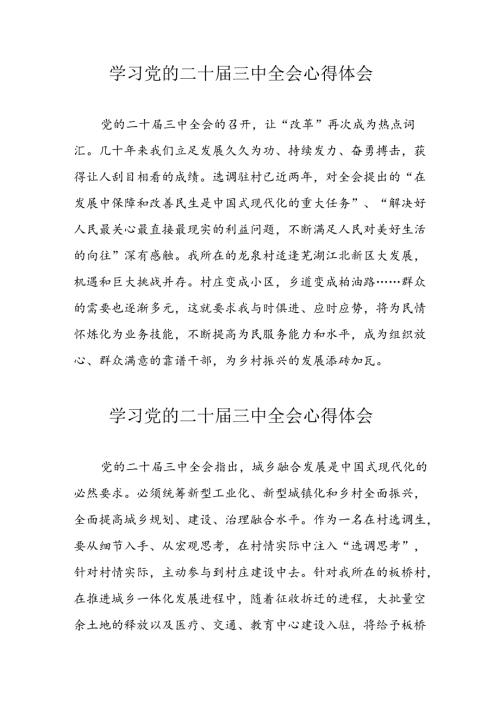 2024年学习党的二十三中全会心得体会 （12份）.docx
