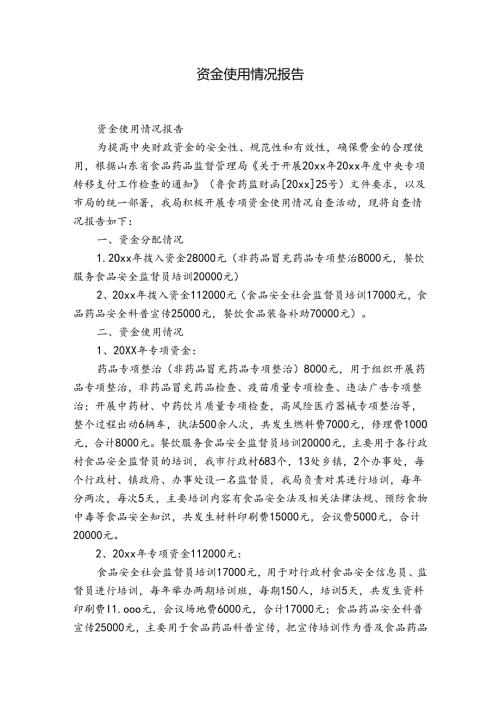 资金使用情况报告.docx