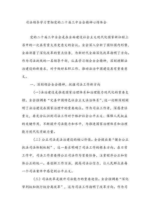 司法系统领导干部学习贯彻党的二十三中全会精神心得体会研讨发言.docx
