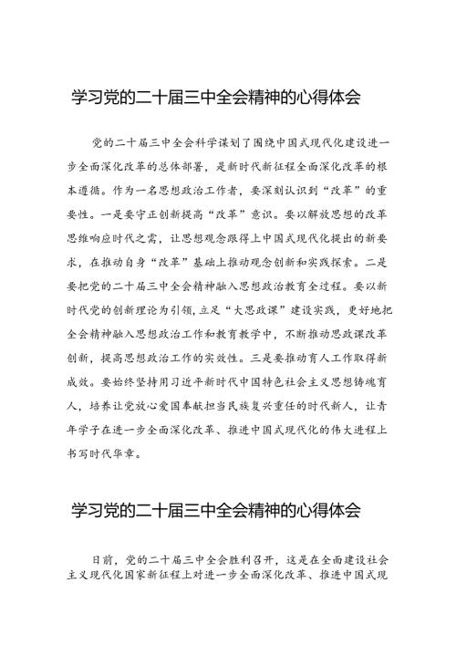 2024年学习党的二十三中全会精神的心得感悟简要发言42篇.docx