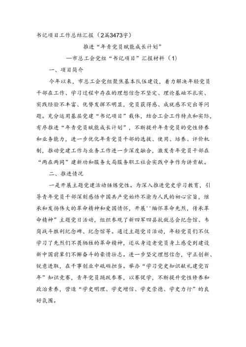 书记项目工作总结汇报（2篇3473字）.docx