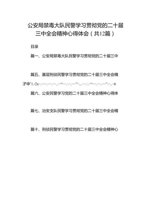 公安局禁毒大队民警学习贯彻党的二十三中全会精神心得体会（共12篇）.docx