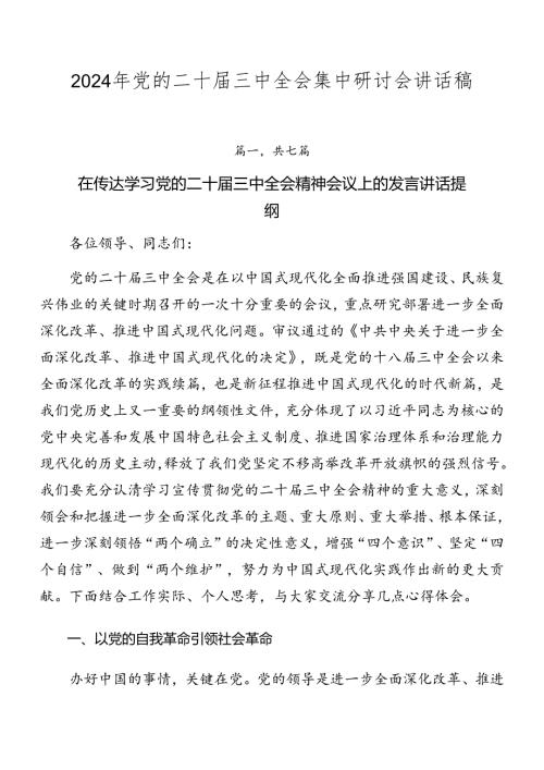 2024年党的二十三中全会集中研讨会讲话稿.docx