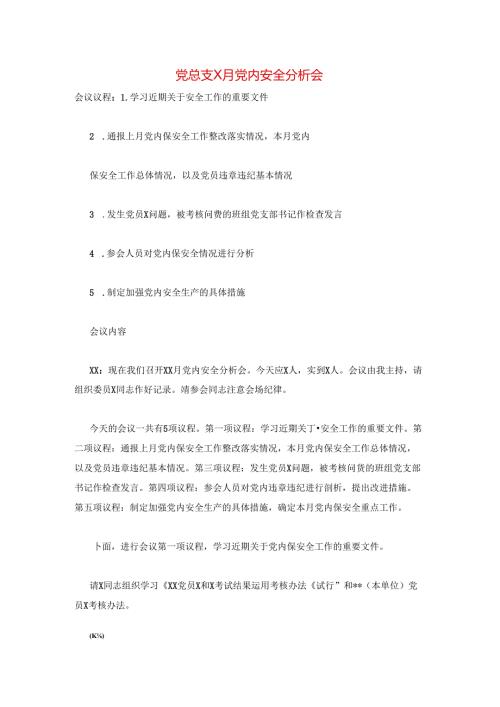 党总支X月党内安全分析会.docx
