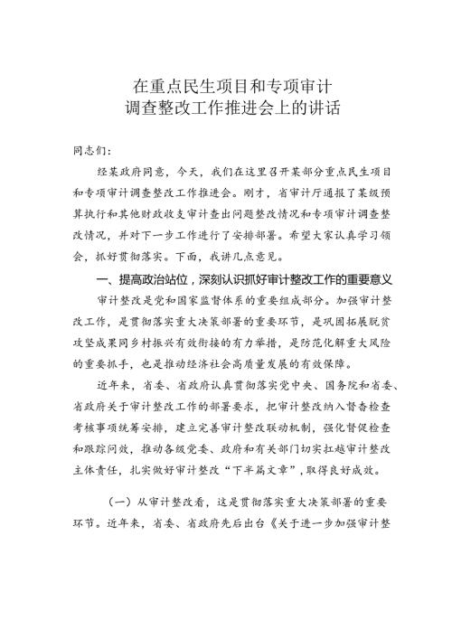 在重点民生项目和专项审计调查整改工作推进会上的讲话(1).docx