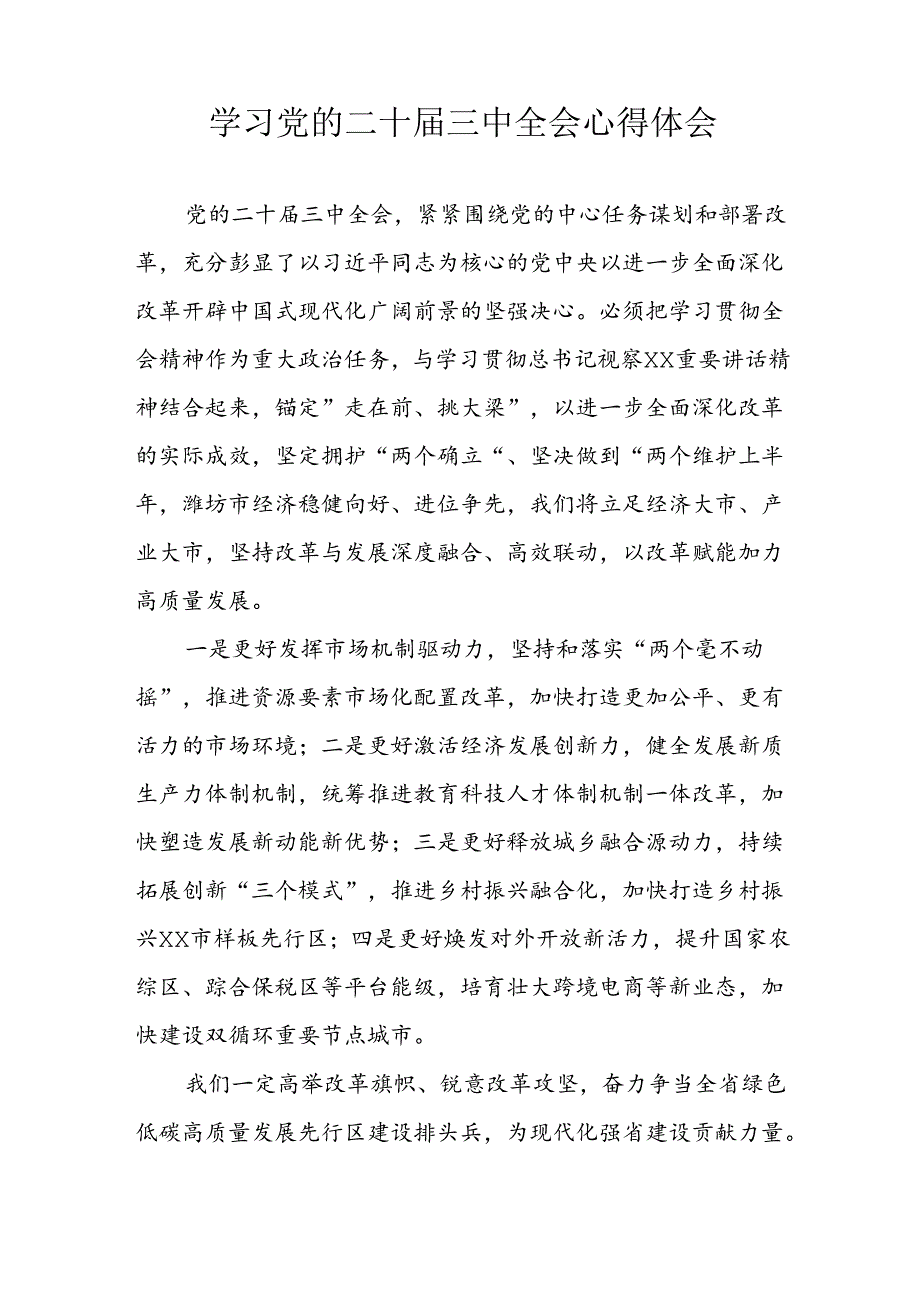 学习2024年学习党的二十三中全会个人心得体会 （7份）.docx_第2页