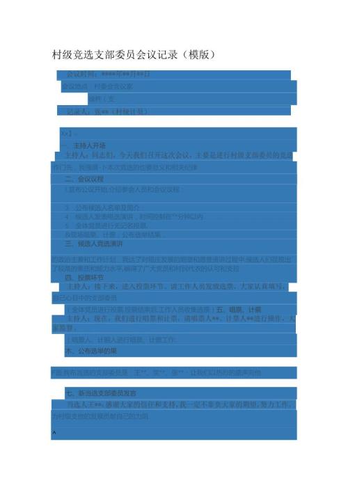 村级竞选支部委员会议记录.docx