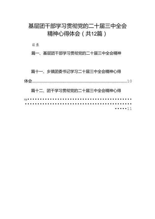 基层团干部学习贯彻党的二十三中全会精神心得体会 （汇编12份）.docx