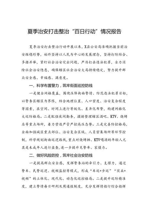 2024年公安局开展夏季治安打击整治行动工作总结6篇.docx
