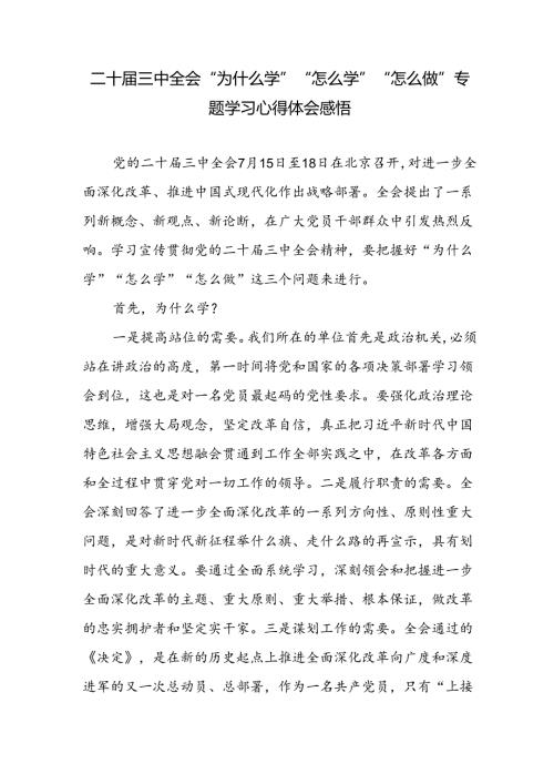 二十三中全会精神“为什么学”“怎么学”“怎么做”专题学习心得体会感悟研讨发言.docx