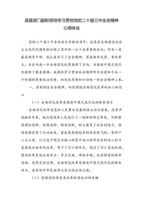 机关部门副职领导副局长学习贯彻党的二十三中全会精神心得体会研讨发言.docx