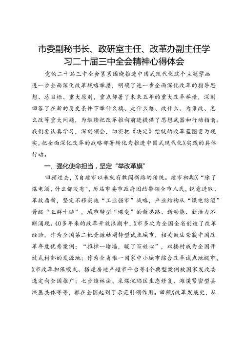 市委副秘书长、政研室主任、改革办副主任学习二十三中全会精神心得体会.docx