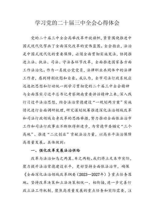 学习2024年学习党的二十三中全会个人心得感悟 （6份）65.docx