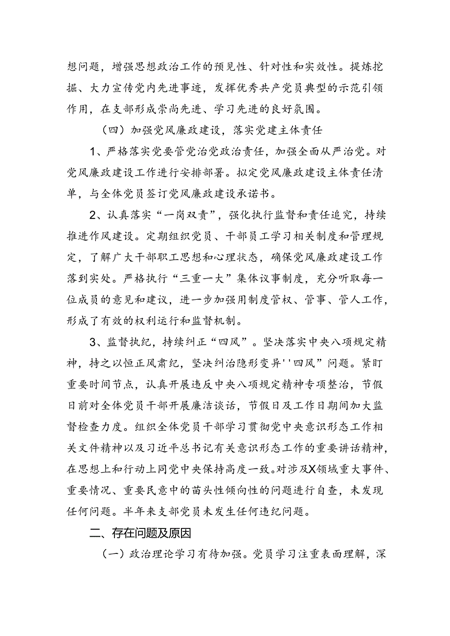 党支部书记2024年上半年党建述职报告(1).docx_第3页